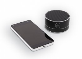 Enceinte Forsan