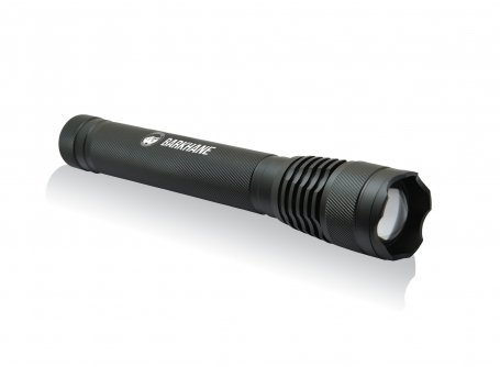 Lampe-torche Vision L