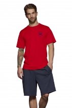 Tee-Shirt Massachusetts