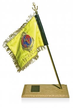 Réduction de fanion 30 x 24 cm