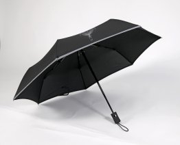 Parapluie Harlan