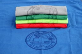 Serviette Swimming