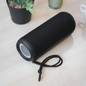 Enceinte Artemi