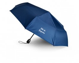 Parapluie Drache